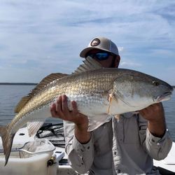 Redfish caught in Brunswick during fishing