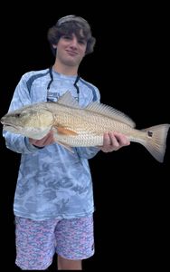 A redfish caught by one angler in Brunswick
