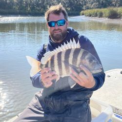 Sheepshead fish caught in GA