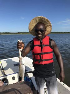 Spotted Weakfish measuring 12 inches, caught while fishing in GA