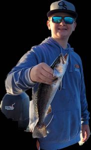 Spotted Weakfish, 16 inches, caught while fishing in GA