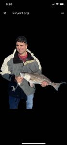A fisherman holding a 19-inch fish in Brunswick