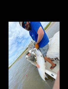 Tarpon caught in Brunswick during fishing trip