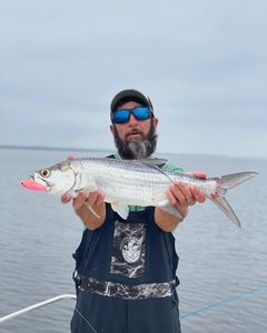 Tarpon caught while fishing in GA