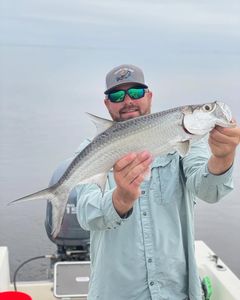 Tarpon fish caught while fishing in Brunswick