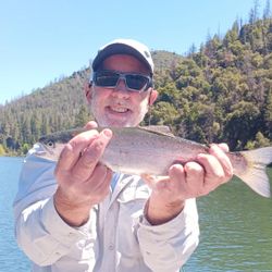 Bright rainbow trout on a fly fishing trip