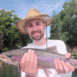Colorful rainbow trout from the Lower Sac