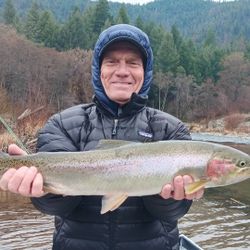 Chunky rainbow trout on a fly trip