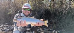 A rainbow trout being caught while fishing in Anderson