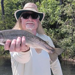 One rainbow trout caught in CA