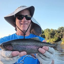 A single rainbow trout caught in California while fishing