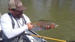 Fishing for a beautiful rainbow trout in Anderson