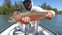Rainbow trout caught while fishing in Anderson