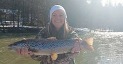 A single sea trout caught while fishing in Anderson