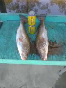 Two fishermen enjoying a day of fishing in Florida