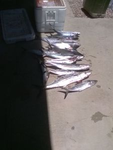 One fishing adventure in FL