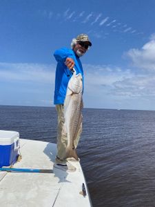 Redfish caught in Florida