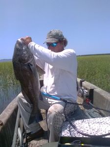 Redfish caught fishing in Florida