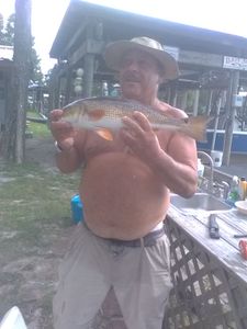Redfish caught while fishing in FL