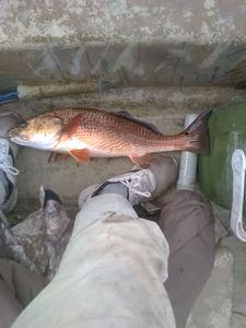 Scenic fishing view in Florida