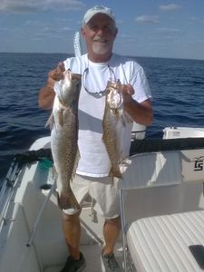 Caught two spotted weakfish in FL