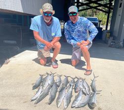 Three fishing catches in Florida