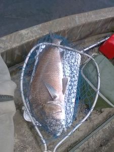 A fishing trip in FL