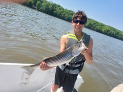 Fish-Species