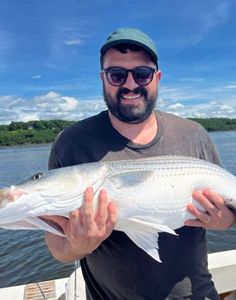 Angler holding caught fish on boat in Accord NY waters