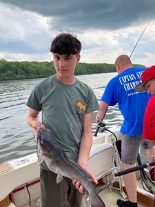 Blue catfish caught by two people in NY