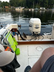 Angler fishing in NY