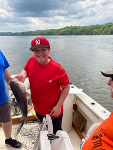 One fisherman catching a 17-inch fish in Accord