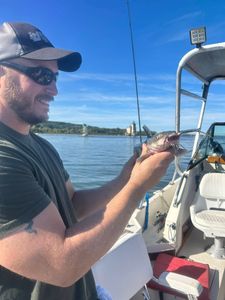 A fisherman catching a hardhead sea catfish in NY