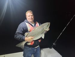 Fish-Species