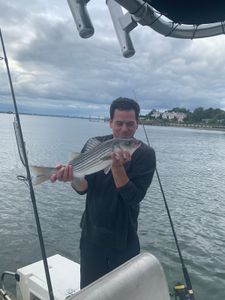 Fish-Species