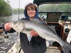 Fish-Species