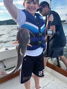 Lingcod fish caught in NY