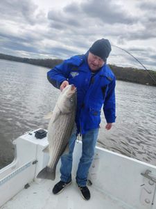 Striped bass caught while fishing in Accord