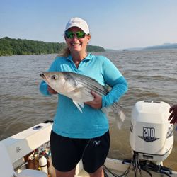 Striped bass caught fishing in Accord