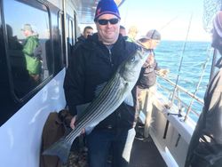 Striped bass caught by 4 people in NY