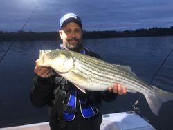 Striped bass caught while fishing in NY