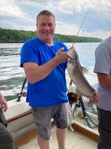 White Catfish caught in Accord