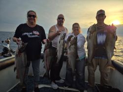 5 fish caught while fishing in WI
