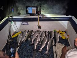 7 great barracuda caught while fishing in Sheboygan