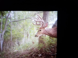 Greenville hunting adventure