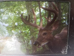 Hunting adventure in VA