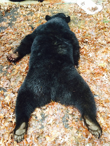 A single, undisclosed fish caught during hunting in VA