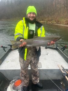 Angler holding a large rainbow trout in Michigan