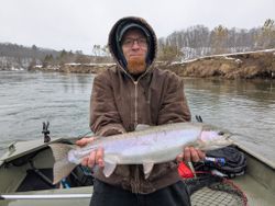 Colorful pink salmon caught fishing in MI
