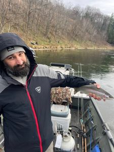 Photograph of a rainbow trout caught by a fisherman in Cadillac